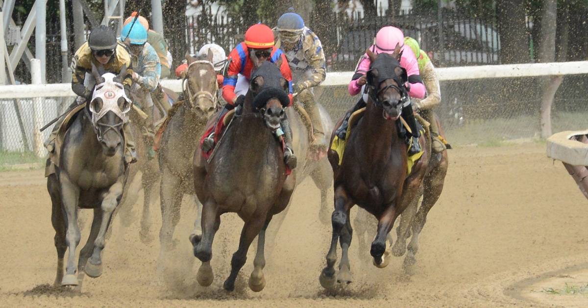 horses racing on a dirt track