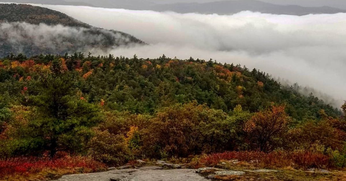 fall foliage on mountain