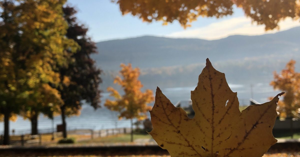 fall leaf held up in foreground, lake george peak fall foliage in background