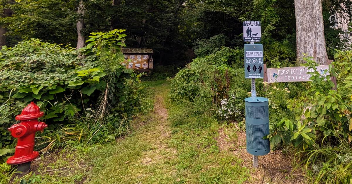 prospect mountain trailhead