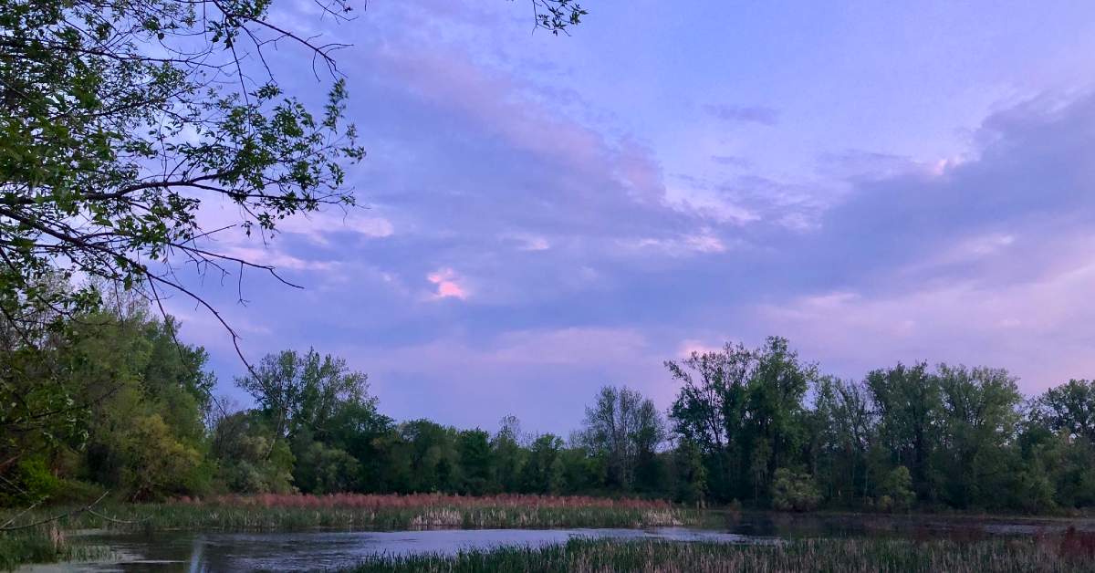 purple/pink clouds with tree line and water