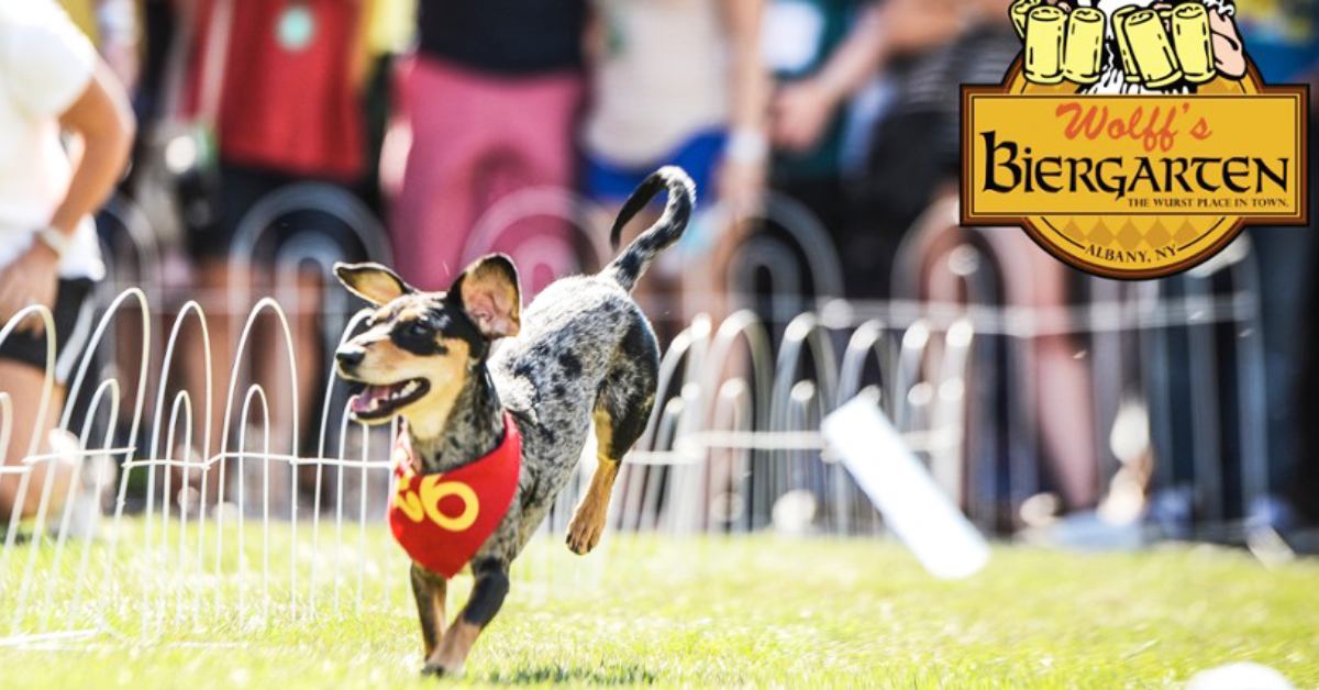 a little dog running in grass with wolff's biergarten logo in corner of picture