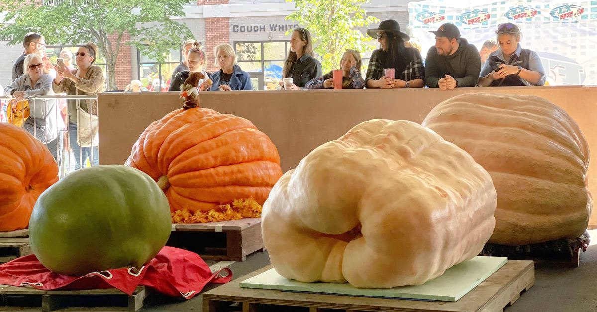 The Top Things To Do In Saratoga This Weekend the-top-things-to-do-in-saratoga-this-weekend