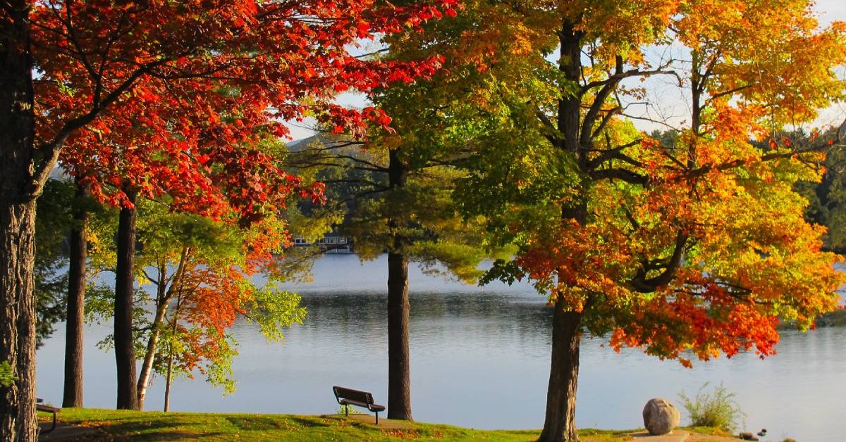 fall foliage by mirror lake