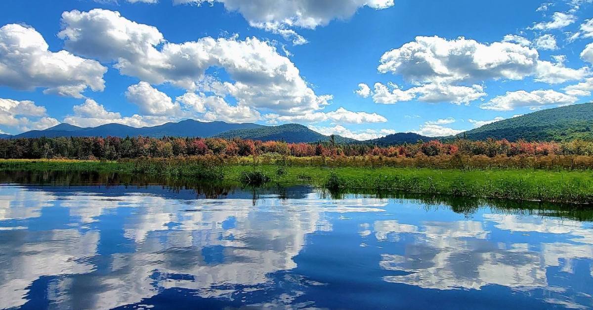 fall foliage surrounding lake