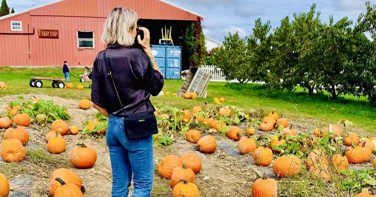 woman taking photos at a pumpkin patch