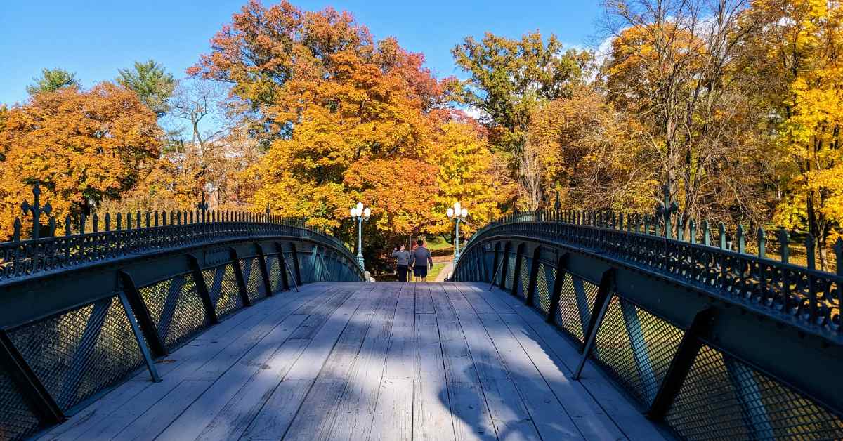 people walking across a bridge with fall colors on the leaves