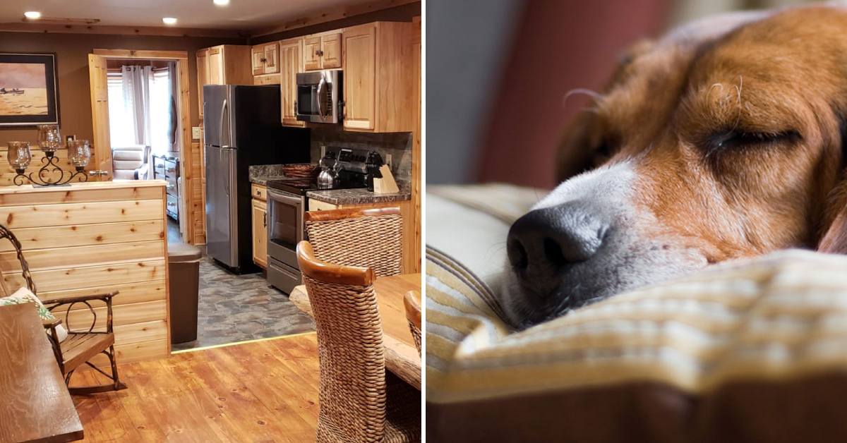 vacation rental home kitchen and dining area on left, dog's head on pillow on the right