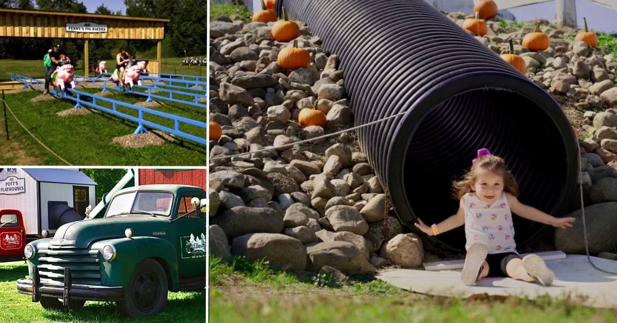 penny's pig racers and pott's playhouses