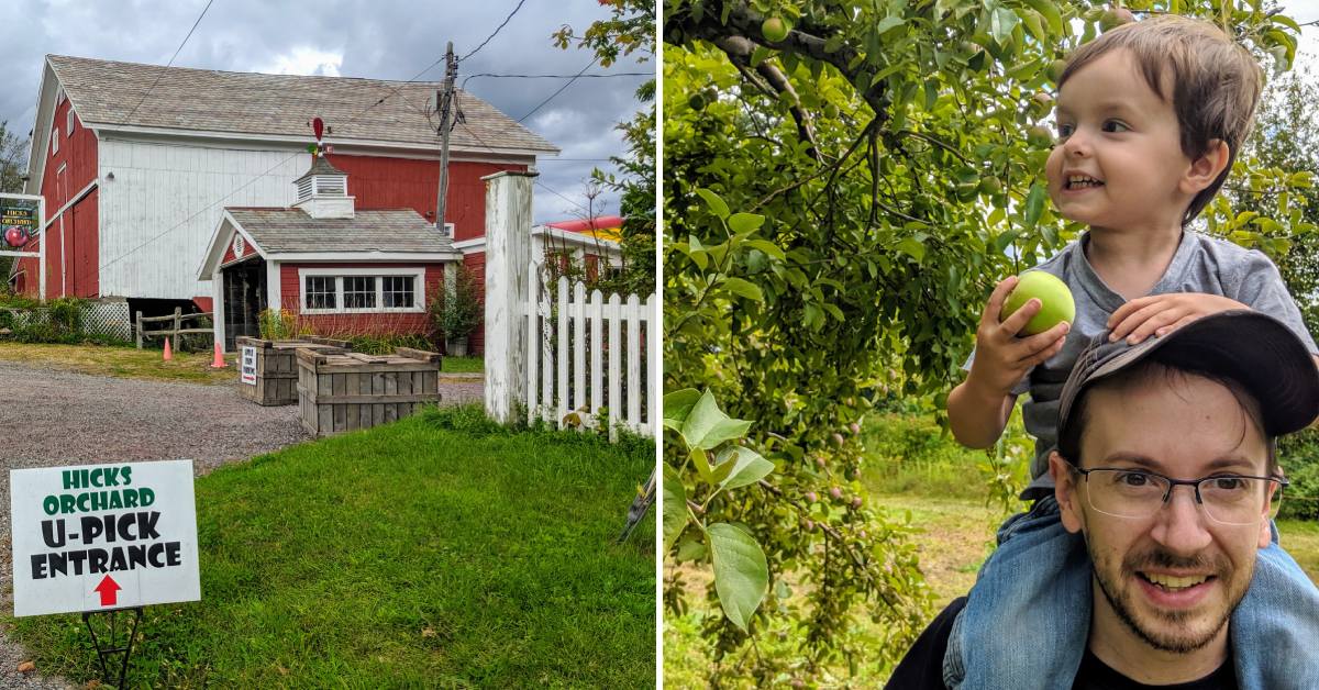 hicks orchard u-pick entrance on the left, dad with toddler on shoulders with apple on the right