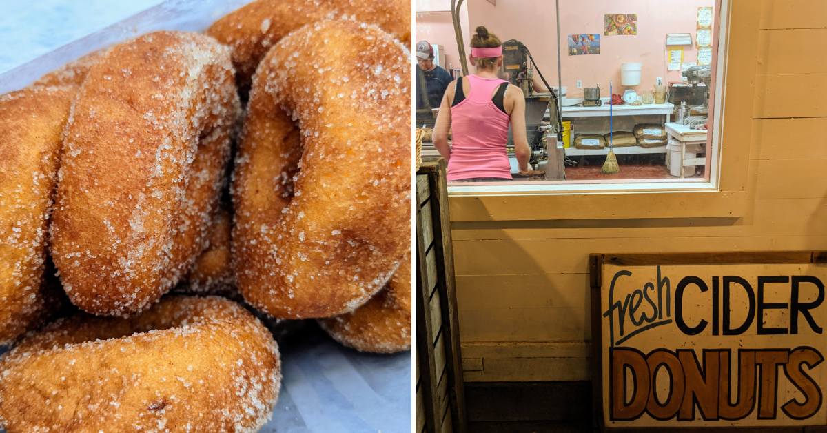 cider donuts at hicks