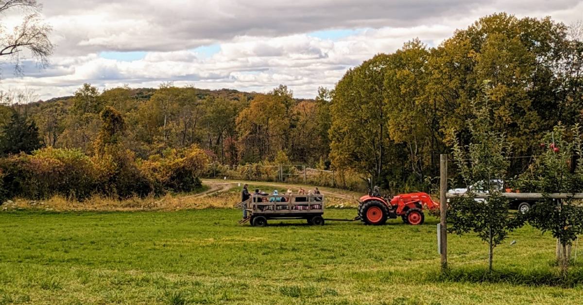 hay ride at hicks orchard