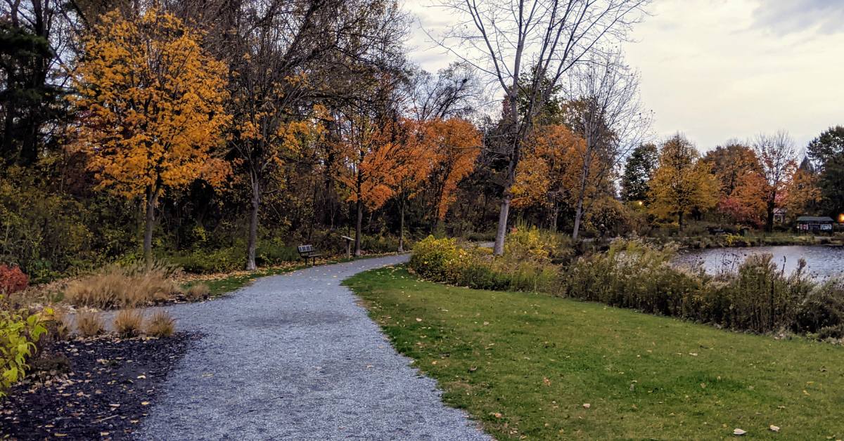 hovey pond park in fall