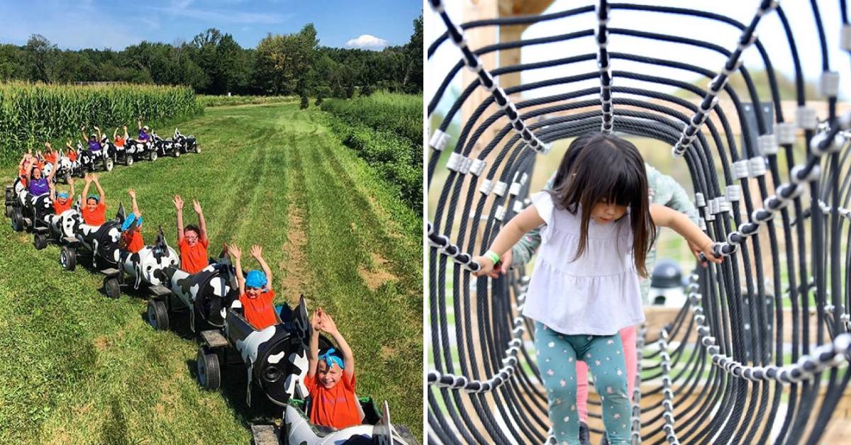 moo moo choo choo on the left, girl through climbing structure on right