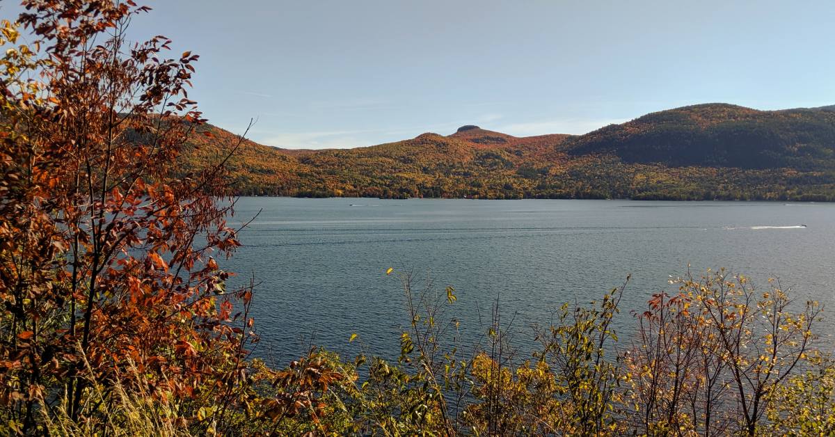 view of foliage near lake and boat