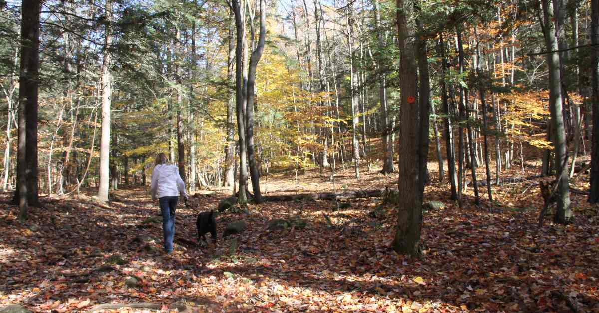 woman and dog walking on hiking trail in fall