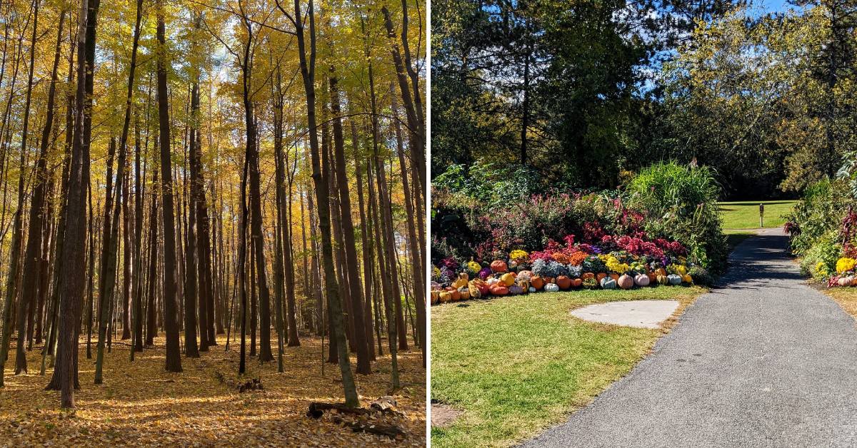 saratoga spa state park in the fall