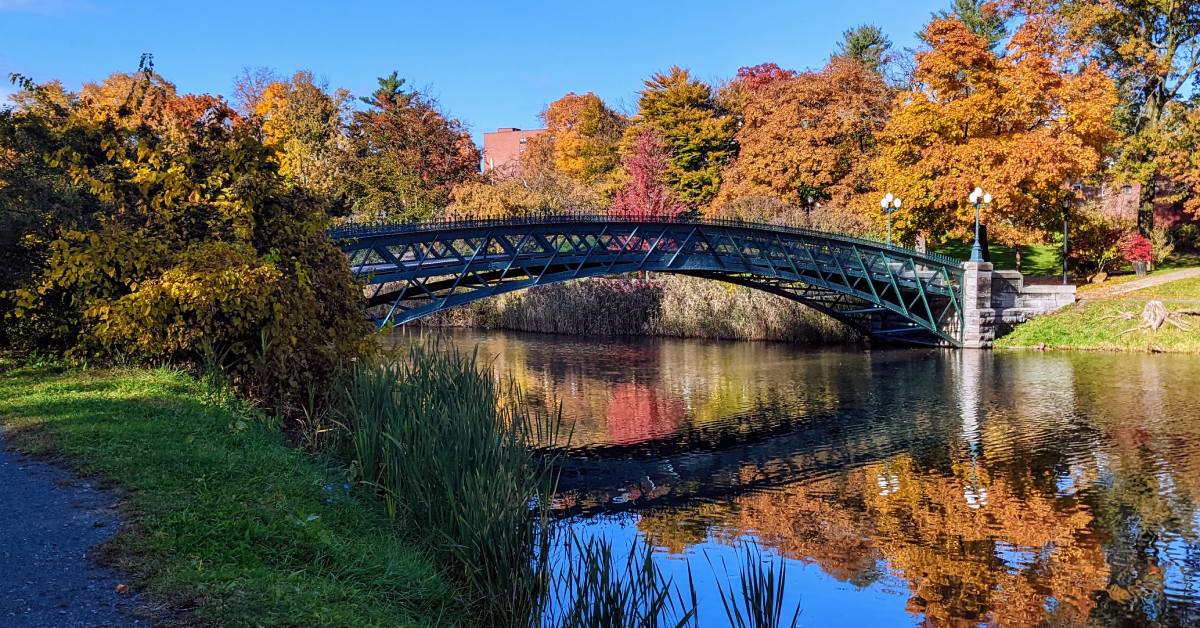 washington park bridge with fall foliage behind it