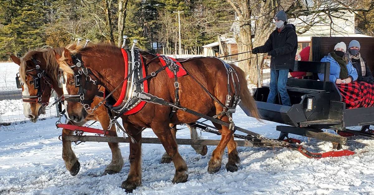 horse drawn sleigh ride