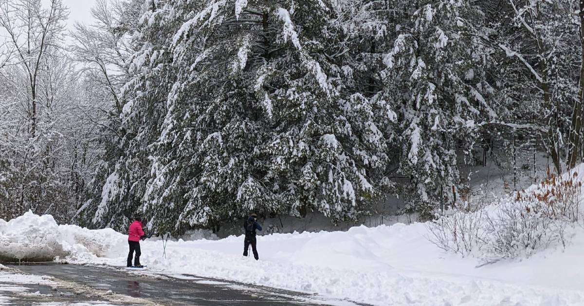 people snowshoeing