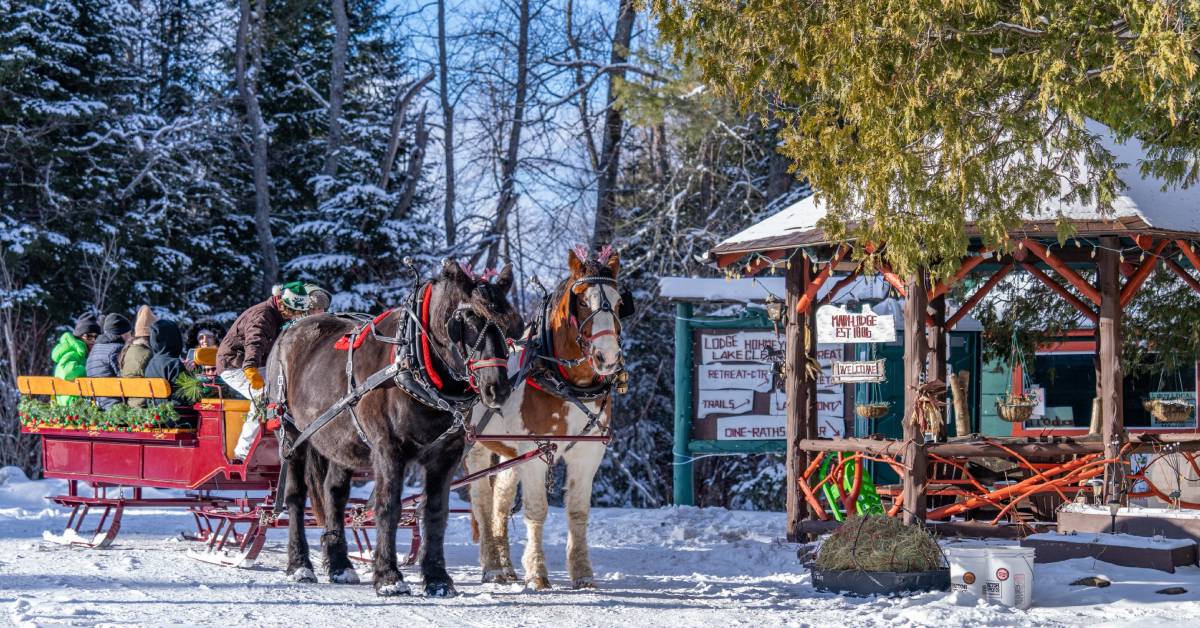 horse drawn sleigh ride