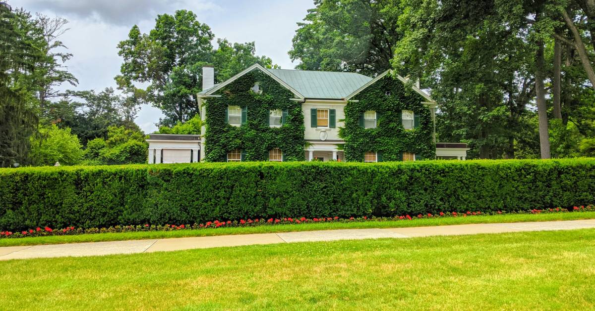 green hedge outside home