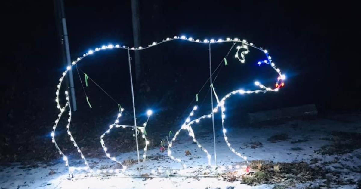 polar bear light display