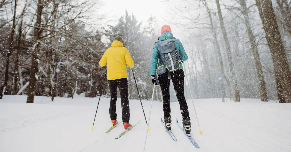 cross country skiers in yellow and blue jackets