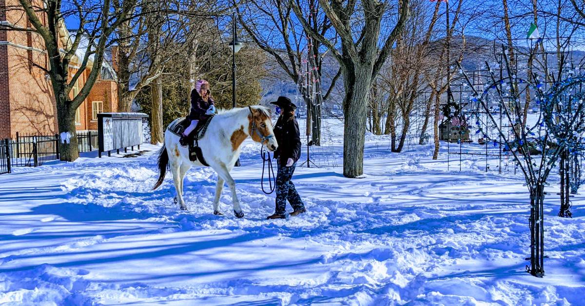 horseback ride in the snow