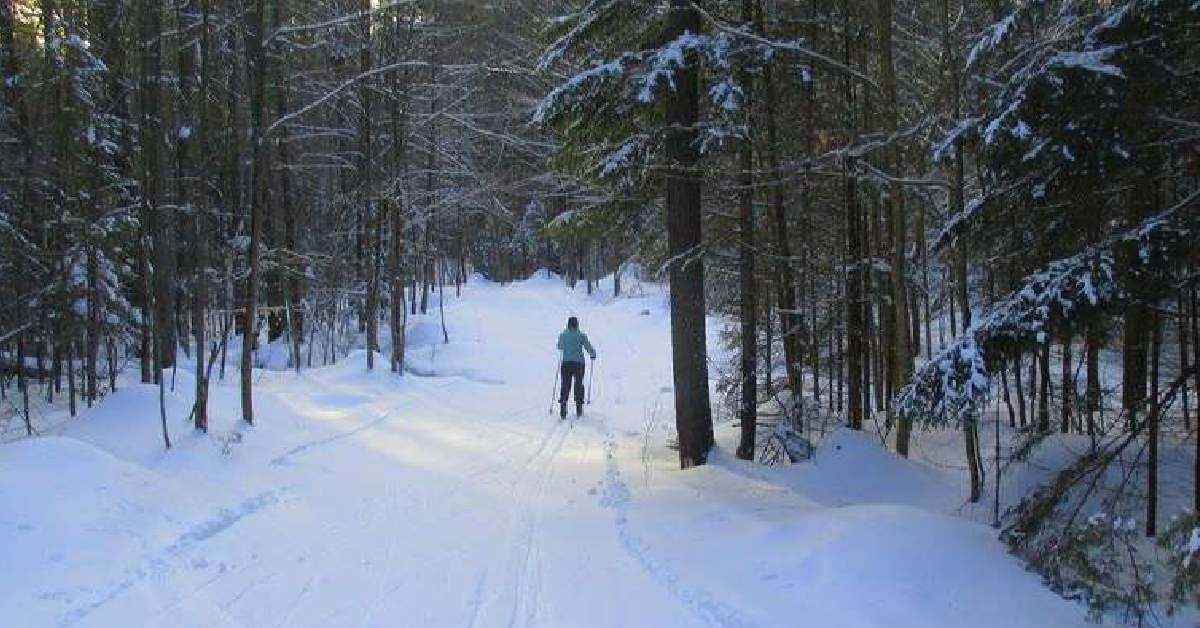 ski trail at Lapland Lake 