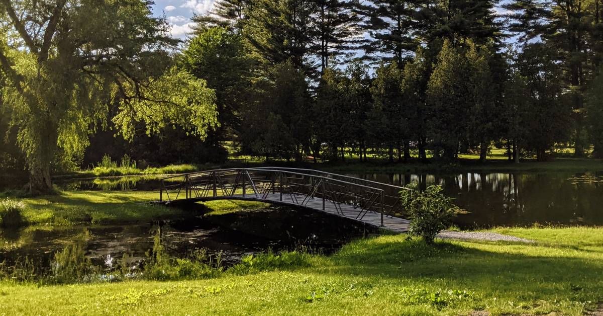 bridge in crandall park