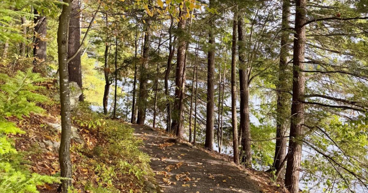 trail at sembrich in fall