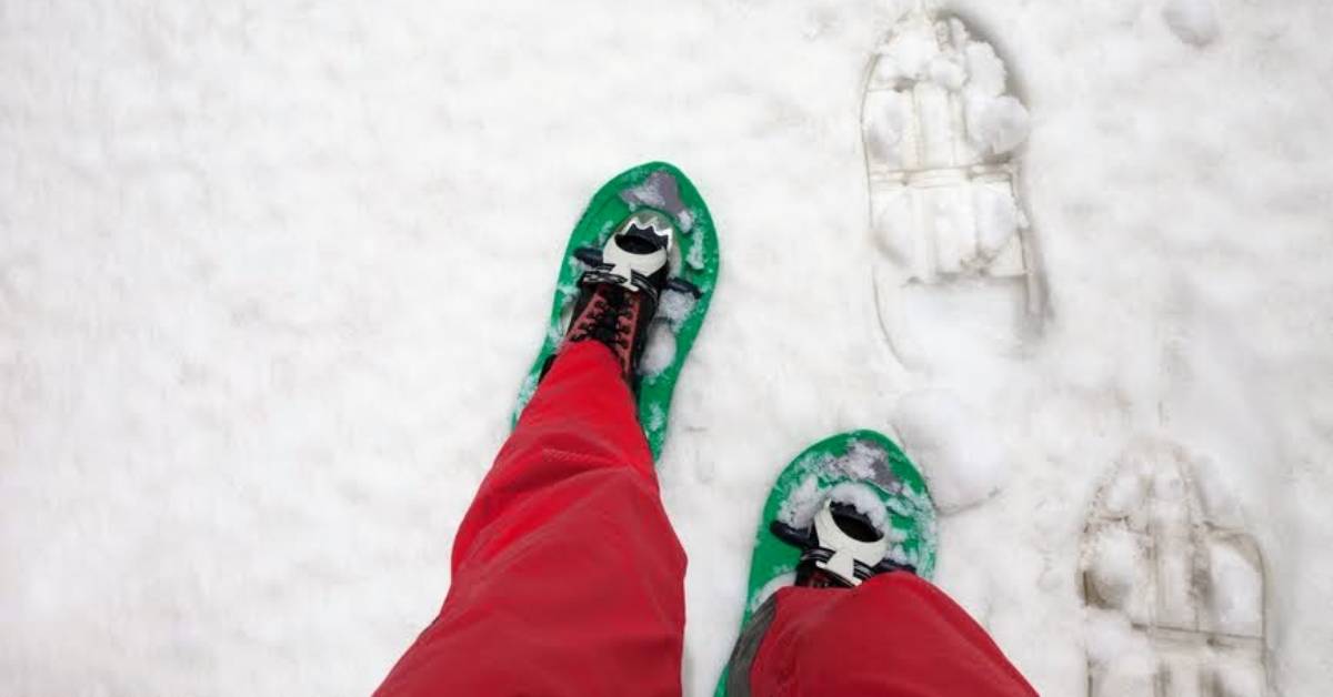 feet in snowshoes in the snow