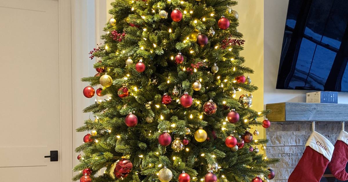 christmas tree with cranberry red balls