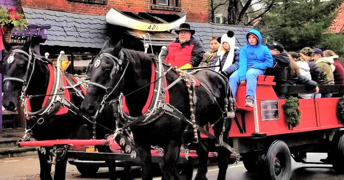 horse drawn carriage ride in winter