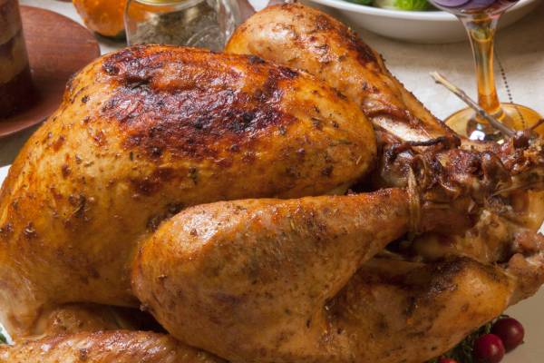 thanksgiving turkey