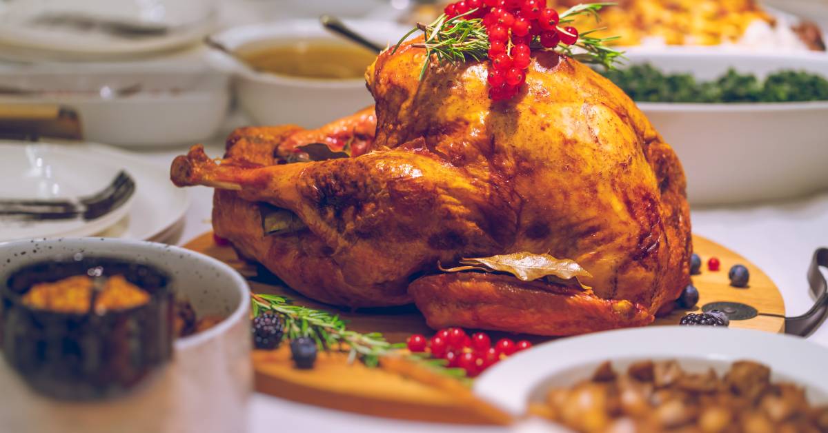 thanksgiving turkey