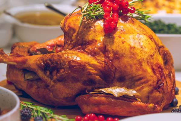 thanksgiving turkey