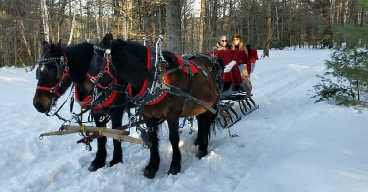 sleigh ride in snow