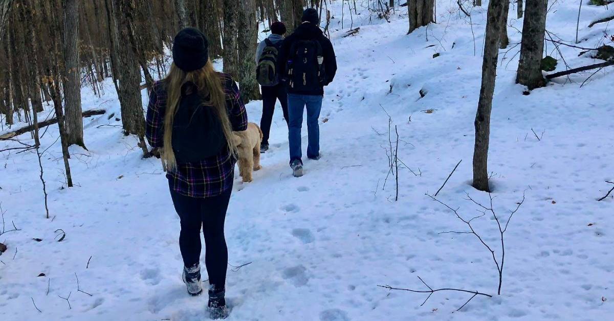 people hiking in woods in winter