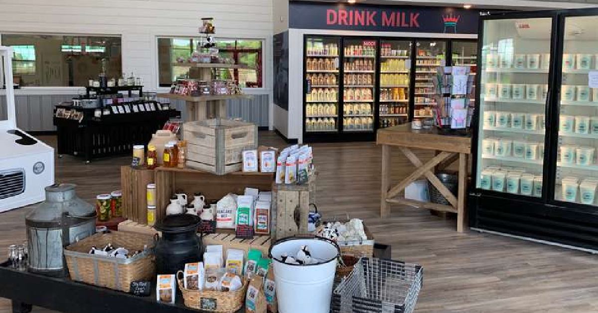 display of dairy shop products