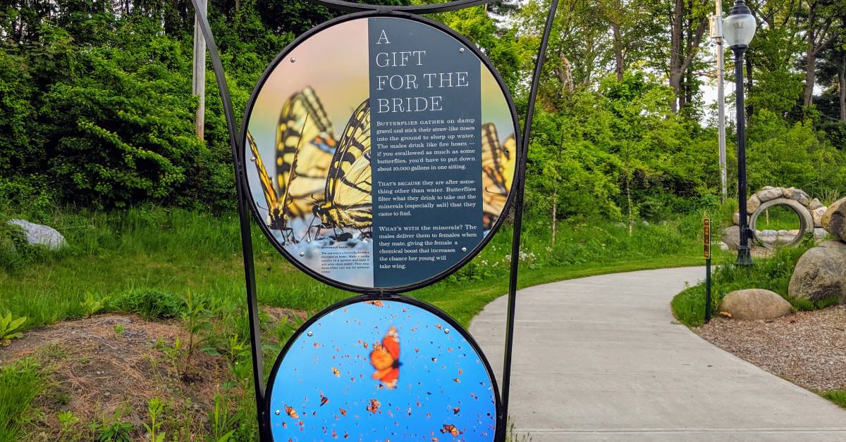 butterfly sign in pappy's playground