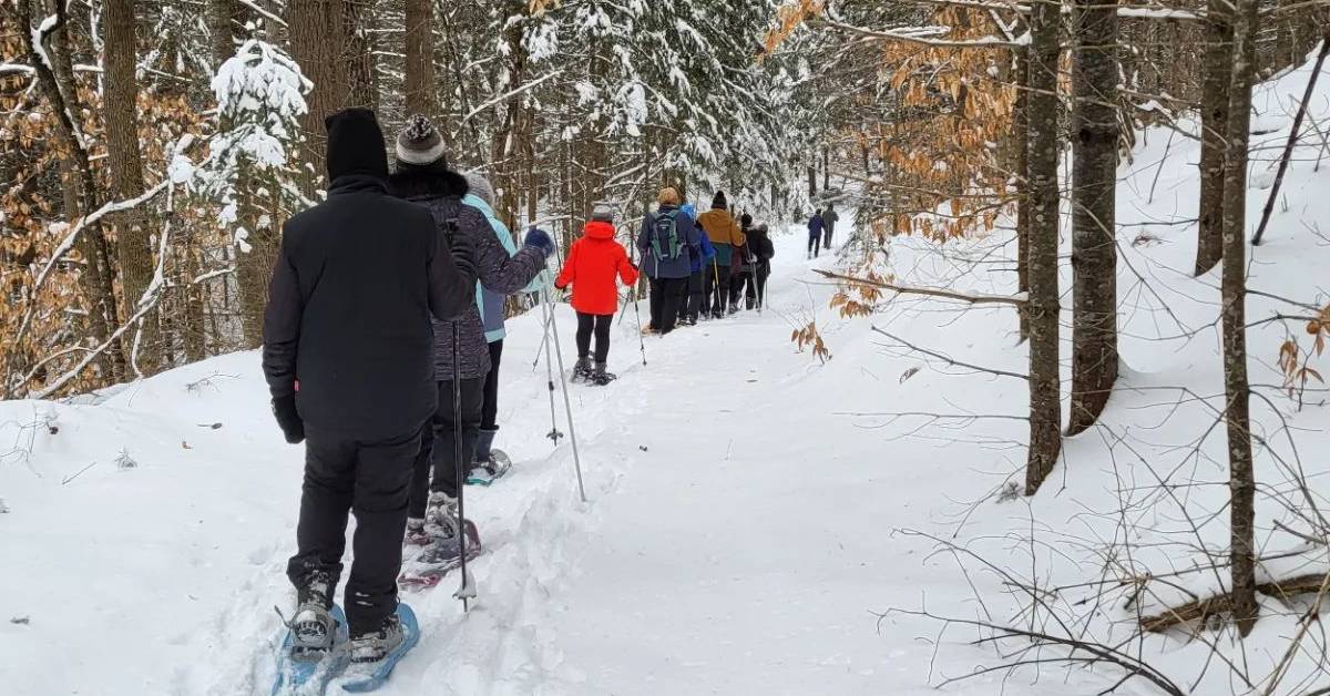 many people snowshoeing in a line in the woods