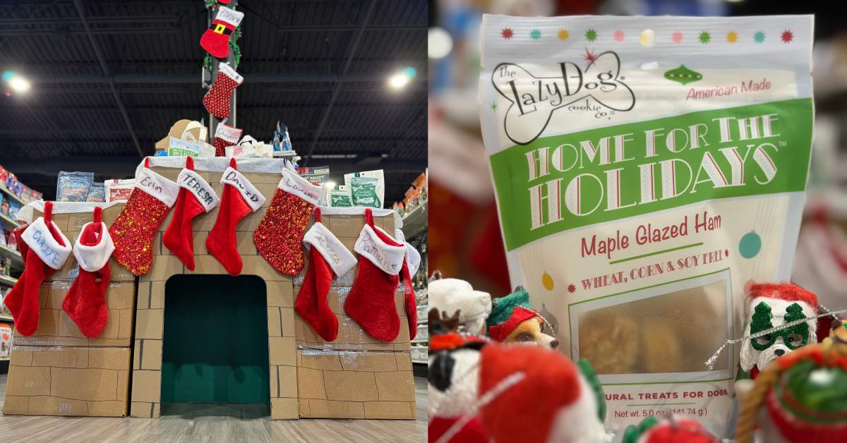 Bensons pet display and treats