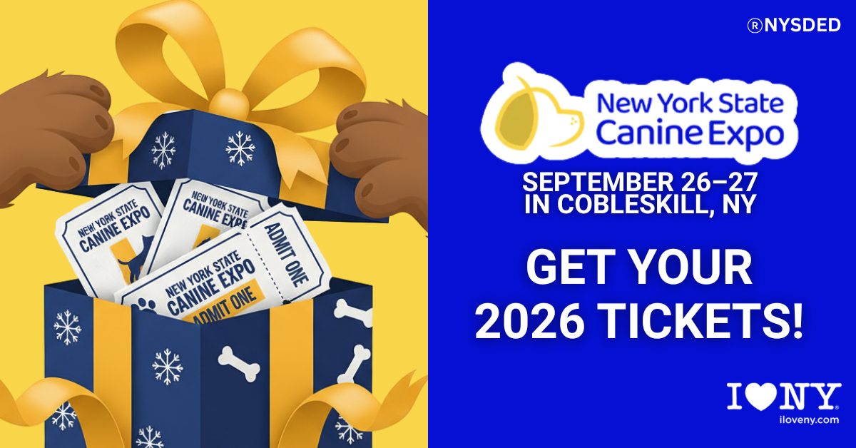 Canine Expo Promo Image