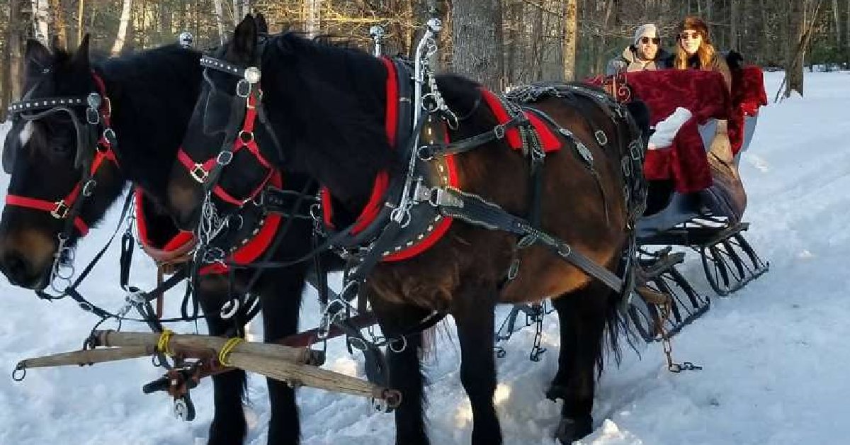 winter sleigh ride