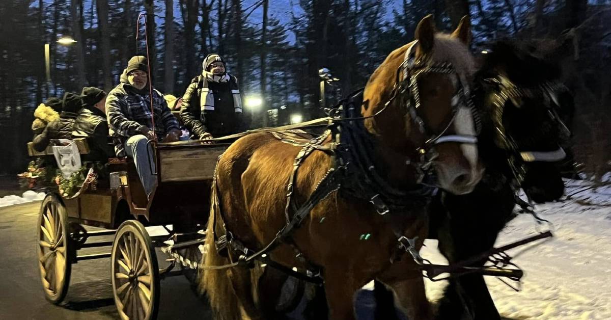 horse-drawn carriage ride