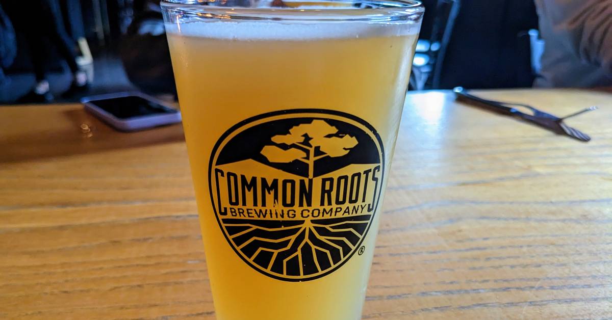common roots beer glass