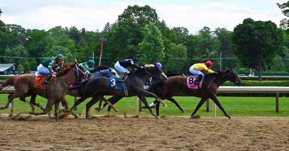horses racing on dirt track