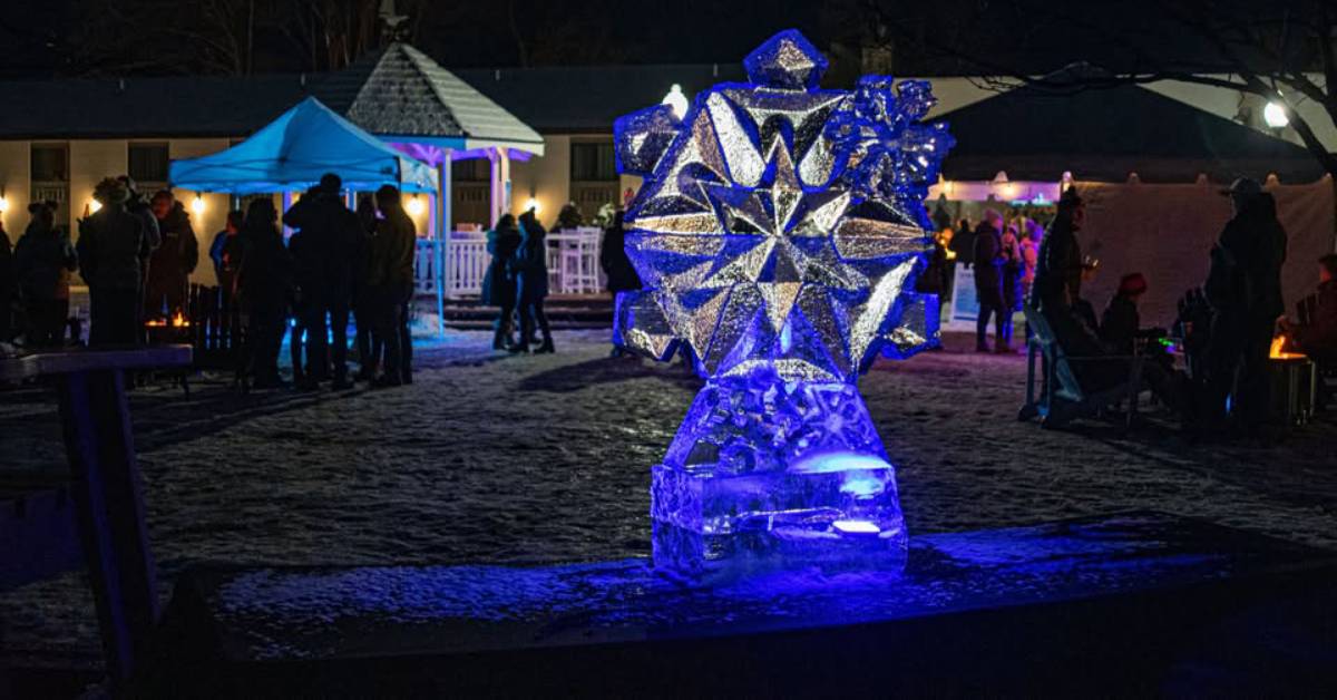 polar ice bar